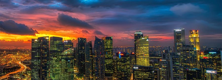 Our Clients and Services